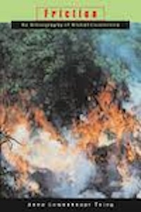 Book Cover - a forest on fire